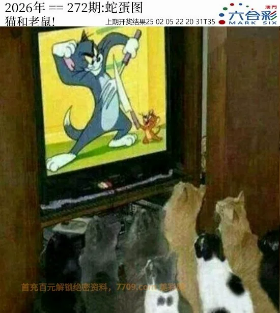 旺角彩皇往期板